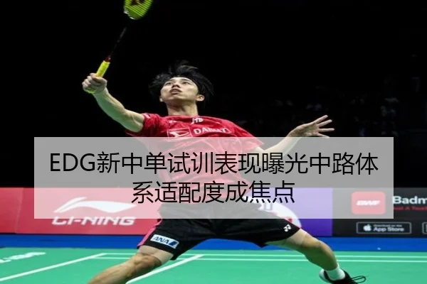 EDG新中单试训表现曝光中路体系适配度成焦点